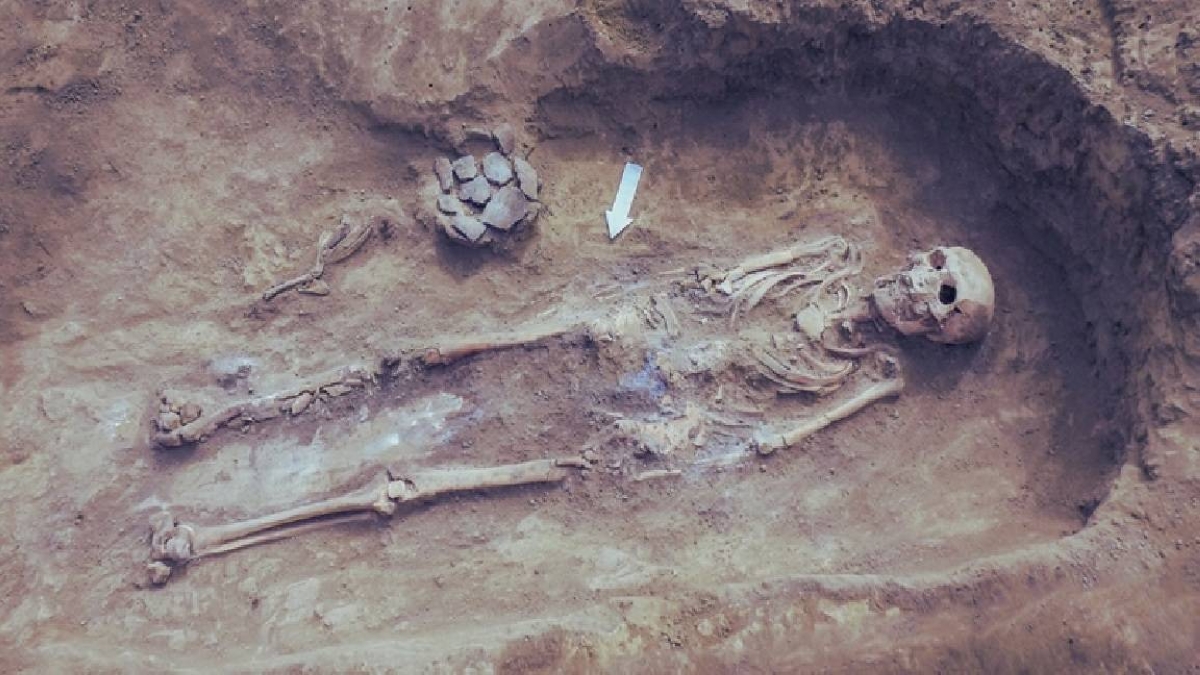 صدمة علمية.. البشر الأوائل لم يكونوا «صيادين» صدمة علمية.. البشر الأوائل لم يكونوا «صيادين»