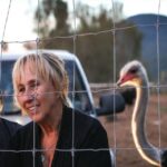 كندا: احتجاجات واعتقالات في معركة «إعدام النعام».. ما القصة؟