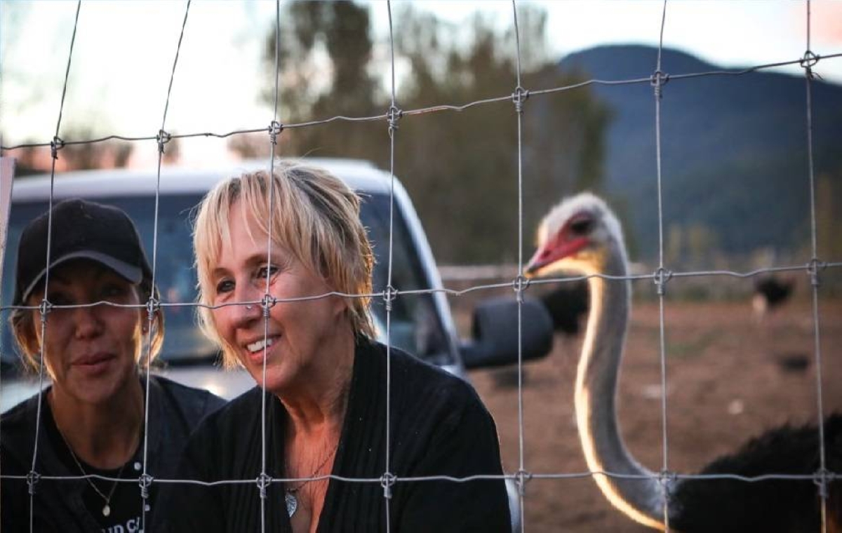 كندا: احتجاجات واعتقالات في معركة «إعدام النعام».. ما القصة؟ كندا: احتجاجات واعتقالات في معركة «إعدام النعام».. ما القصة؟