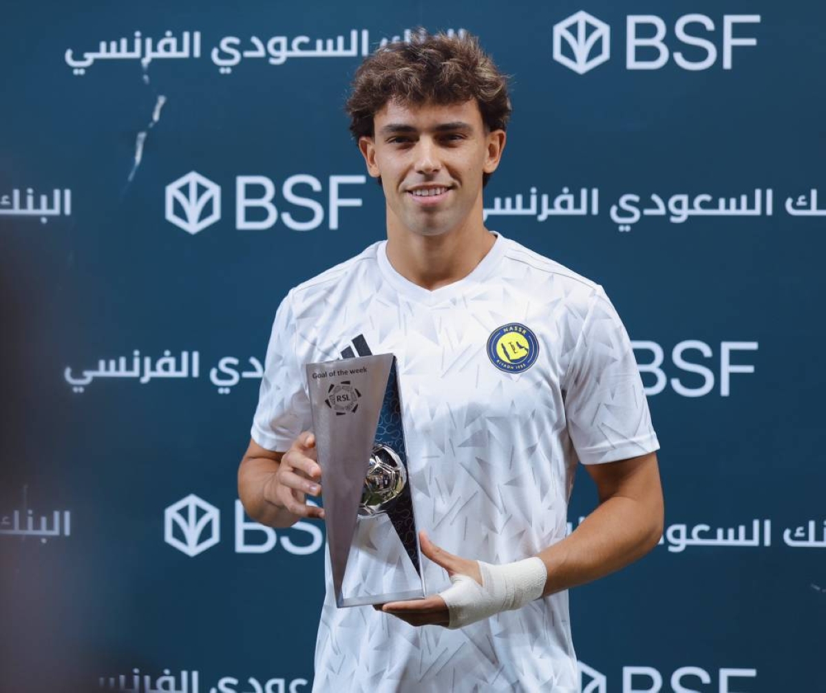 فيلكس.. مجنون بفنون