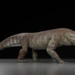 اكتشاف تمساح مفترس كان يأكل الديناصورات !