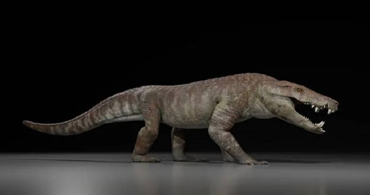 اكتشاف تمساح مفترس كان يأكل الديناصورات ! اكتشاف تمساح مفترس كان يأكل الديناصورات !