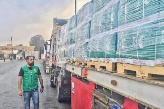 مقدمة من مركز الملك سلمان للإغاثة.. مساعدات سعودية جديدة إلى قطاع غزة