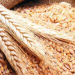 رفع سعر بيع طن دقيق القمح الموحد بنحو 59 قرشاً