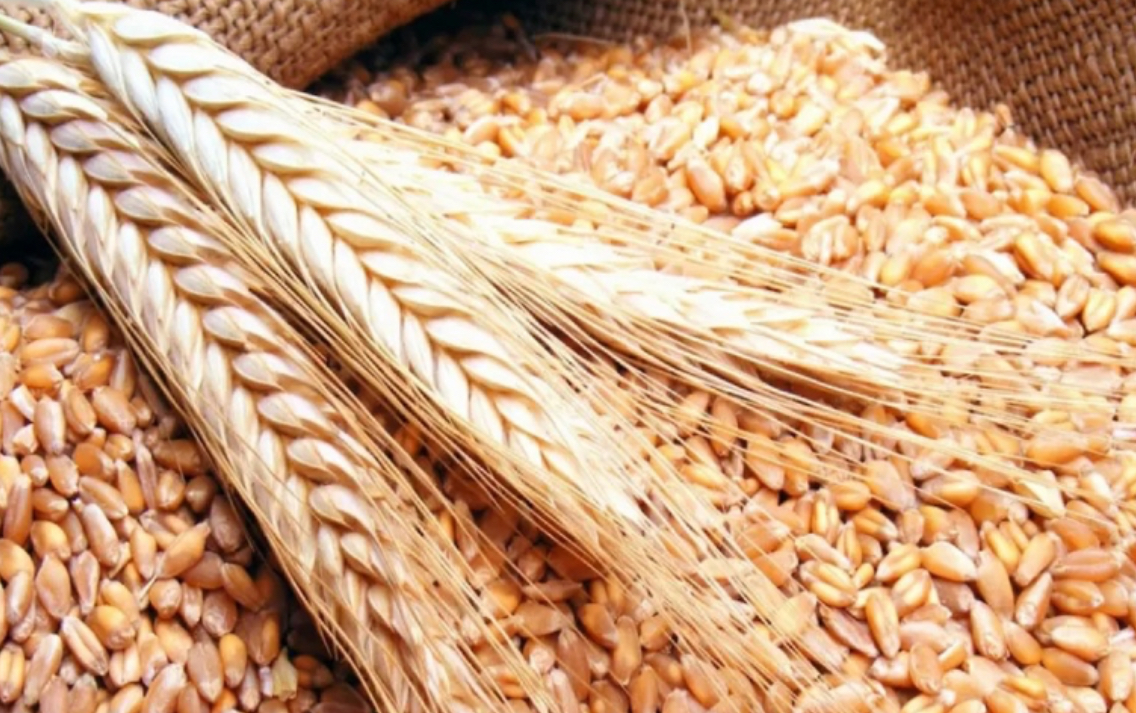 رفع سعر بيع طن دقيق القمح الموحد بنحو 59 قرشاً