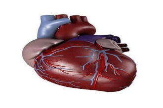 متلازمة “القلب الحساس” و “القلب المنكسر”.. ارتباط وثيق بين الحالة النفسية والتشخيص المبكر