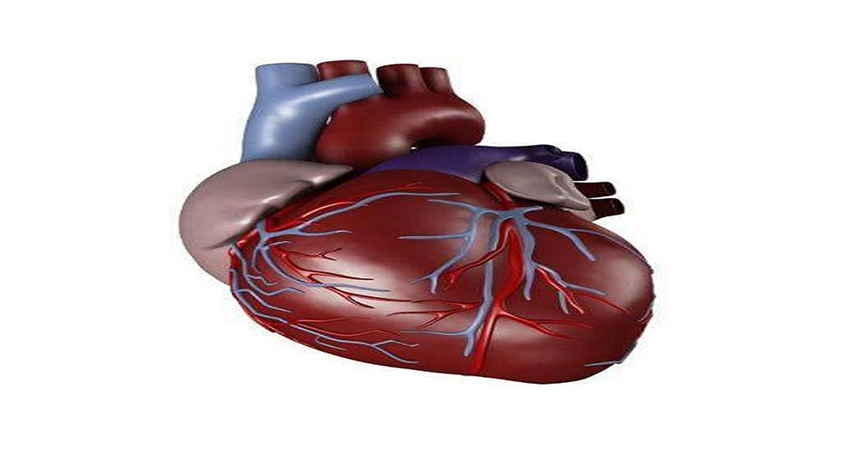 متلازمة “القلب الحساس” و “القلب المنكسر”.. ارتباط وثيق بين الحالة النفسية والتشخيص المبكر متلازمة “القلب الحساس” و “القلب المنكسر”.. ارتباط وثيق بين الحالة النفسية والتشخيص المبكر