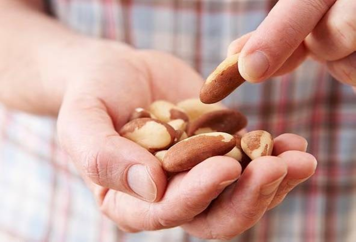 دراسة: المكسرات كنز غذائي للصحة والعقل