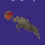 حامد بن عقيل يصافح العالم بـ«الوحدة حرّية حزينة»