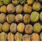 فاكهة تثير الذعر في ألمانيا.. وتستنفر الجهات الأمنية