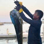 بمشاركة سعودية وحضور نسائي.. ختام بطولة «جبل سيفة» الدولية