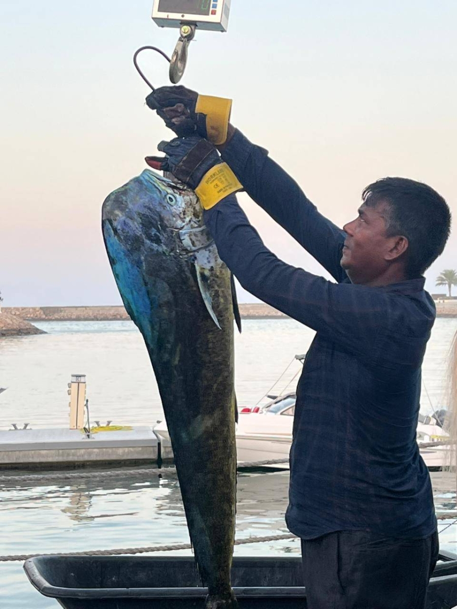 بمشاركة سعودية وحضور نسائي.. ختام بطولة «جبل سيفة» الدولية بمشاركة سعودية وحضور نسائي.. ختام بطولة «جبل سيفة» الدولية