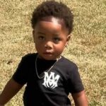 كيف قتل كلبان طفلاً في «الحضانة»؟