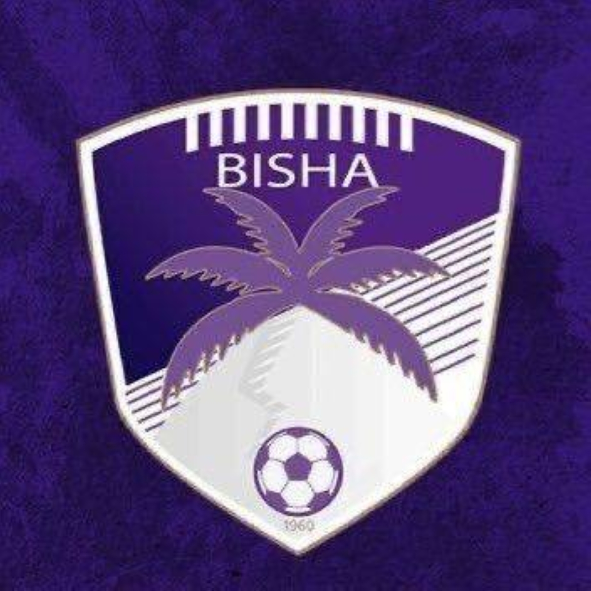 بعد امتناعه عن اللعب .. الانضباط تغرم بيشة ربع مليون وخصم 3 نقاط