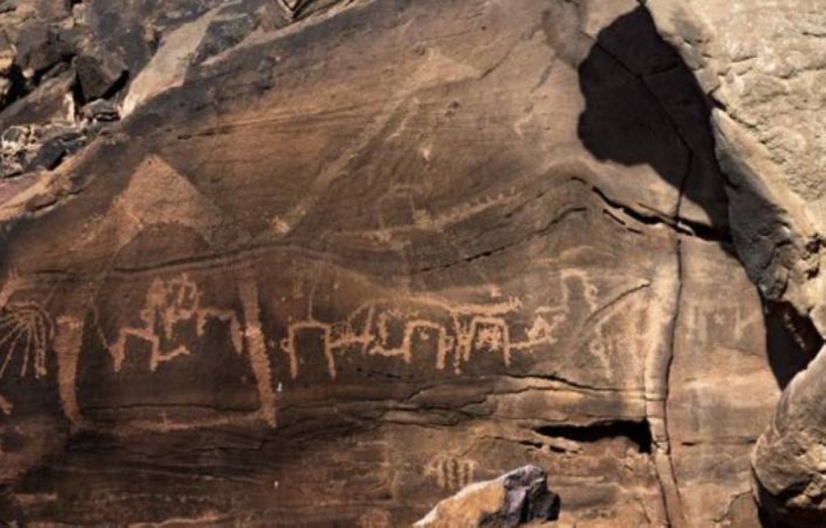 هيئة التراث تعلن تسجيل 1,516 موقعاً جديداً في السجل الوطني للآثار هيئة التراث تعلن تسجيل 1,516 موقعاً جديداً في السجل الوطني للآثار