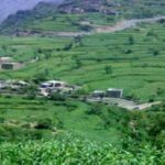 أب يقتل 3 من أبنائه.. والبنت تنجو بأعجوبة!