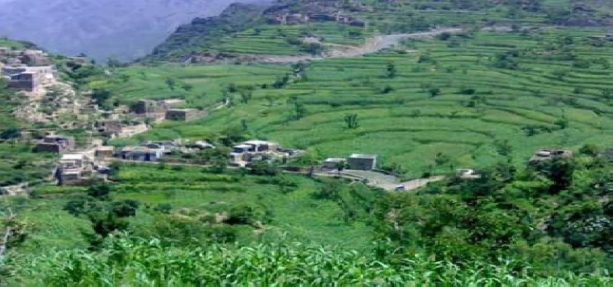 أب يقتل 3 من أبنائه.. والبنت تنجو بأعجوبة! أب يقتل 3 من أبنائه.. والبنت تنجو بأعجوبة!