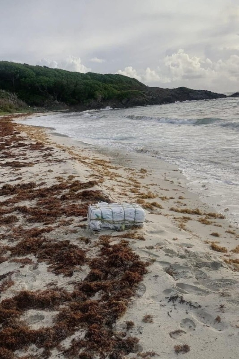 كيف تحايلت عصابات المخدرات على السفن الحربية؟ كيف تحايلت عصابات المخدرات على السفن الحربية؟