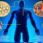 مقاومة المضادات الحيوية.. خطر يهدد البشرية بـ 10.000000 وفاة سنوياً