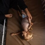 وسط تفاقم «مجاعة غزة».. «قوقل» وإسرائيل تزعمان توفر الطعام