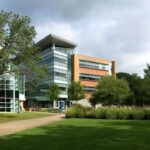 جامعة أمريكية تطرد أستاذة للقانون بسبب «تشارلي كيرك»