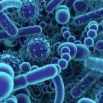 علماء روس يكشفون سر بكتيريا بدائية ساهمت في نشوء الغلاف الجوي