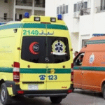 جريمة مأساوية أمام مدرسة بالمنوفية.. سائق يقتل طليقته أمام طفلها