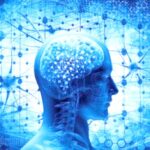 العلماء يحددون «الحاسة السادسة»