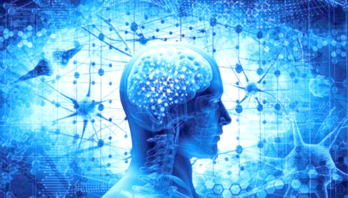 العلماء يحددون «الحاسة السادسة»