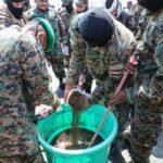 محكمة يمنية تتلف طناً و8 كيلوغرامات من المخدرات