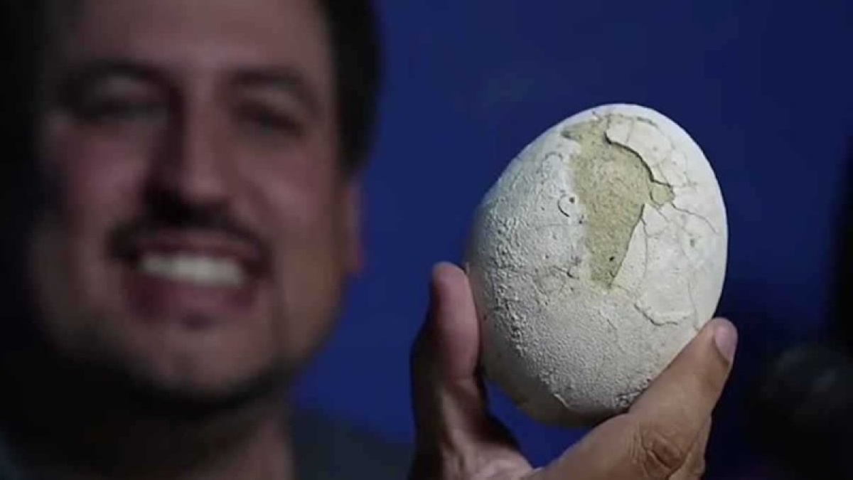 اكتشاف بيضة ديناصور عمرها 70 مليون سنة ! اكتشاف بيضة ديناصور عمرها 70 مليون سنة !