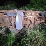 وفاة أب وابنته أثناء إنقاذها من سرب نحل في البرازيل