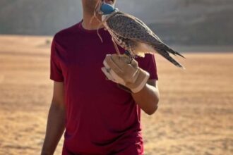 نايف هزازي لـ«عكاظ»: نجوم الاتحاد قادرون على "النصر" في «الكأس» نايف هزازي لـ«عكاظ»: نجوم الاتحاد قادرون على "النصر" في «الكأس»