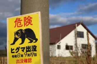 رعب في اليابان: الدببة تنذر بكارثة.. والجيش يتدخل! رعب في اليابان: الدببة تنذر بكارثة.. والجيش يتدخل!