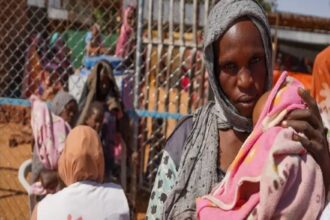 مجازر في الفاشر.. وزير الإعلام السوداني: «الدعم السريع» يروع المدنيين مجازر في الفاشر.. وزير الإعلام السوداني: «الدعم السريع» يروع المدنيين