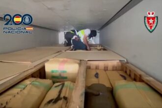 «الفلفل الأخضر» يخفي أكبر شحنة «حشيش» «الفلفل الأخضر» يخفي أكبر شحنة «حشيش»