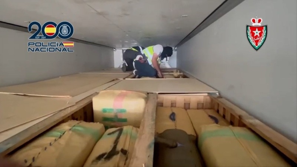 «الفلفل الأخضر» يخفي أكبر شحنة «حشيش»