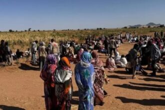 مصر ترفض مخططات تقسيم السودان مصر ترفض مخططات تقسيم السودان