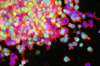 علاج ضوئي يقضي على الخلايا السرطانية بدقة