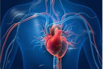 من القلب إلى الرحم.. دراسات تكشف الرابط بين الصحة القلبية والإنجاب