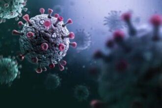 رصد فايروس جديد شبيه بكورونا في خفافيش البرازيل رصد فايروس جديد شبيه بكورونا في خفافيش البرازيل