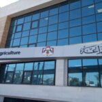 وزارة الزراعة: تصدير 900 ألف رأس من الأغنام إلى السعودية