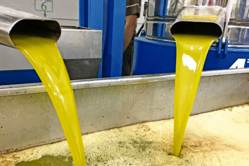 زراعة الوسطية: بدء العمل بمعاصر الزيتون منتصف الشهر الحالي زراعة الوسطية: بدء العمل بمعاصر الزيتون منتصف الشهر الحالي