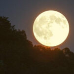 أول بدر عملاق لعام 2025..يسطع في سماء المملكة الثلاثاء المقبل