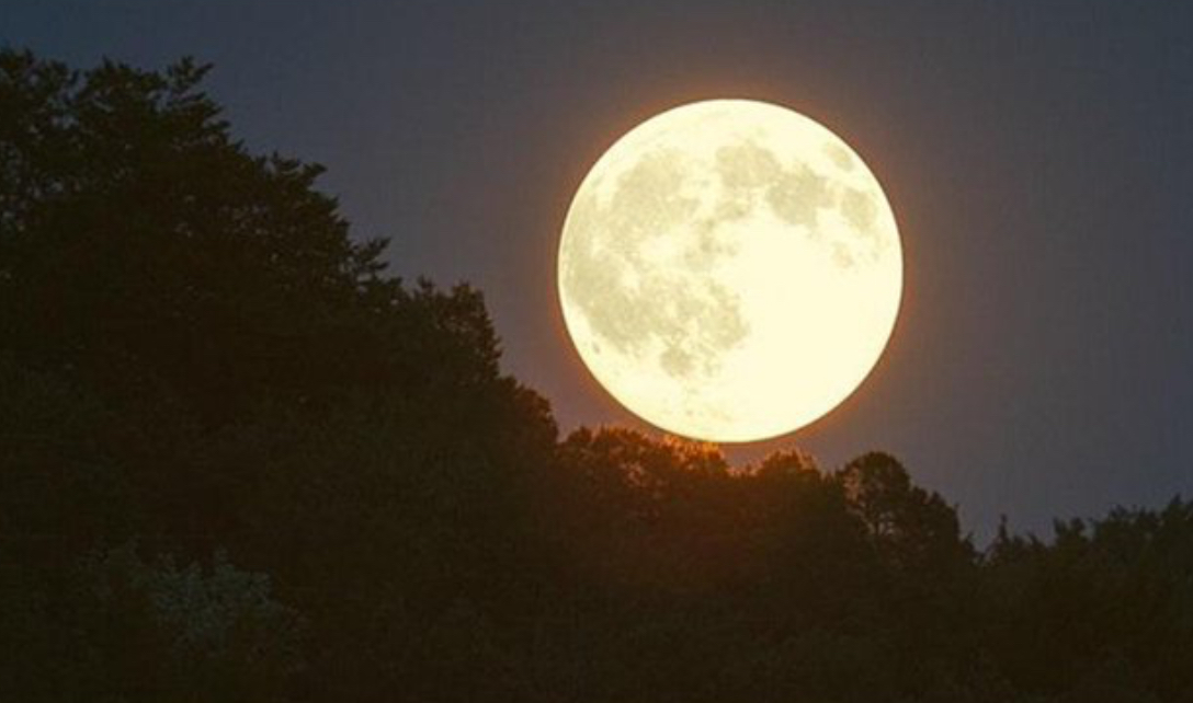 أول بدر عملاق لعام 2025..يسطع في سماء المملكة الثلاثاء المقبل أول بدر عملاق لعام 2025..يسطع في سماء المملكة الثلاثاء المقبل