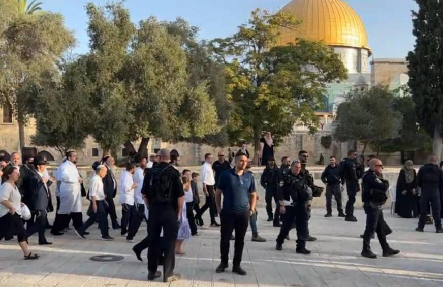 مستوطنون يخططون لاقتحامات واسعة لباحات “الأقصى”​ 