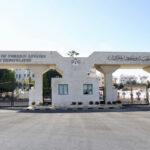 وصول أردنية و130 شخصا من عدة جنسيات كانوا على متن أسطول الصمود للأردن