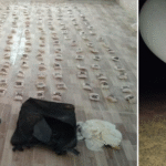 الجيش يضبط 11.6 مليون حبة مخدرة خلال 593 محاولة تهريب منذ بداية 2025