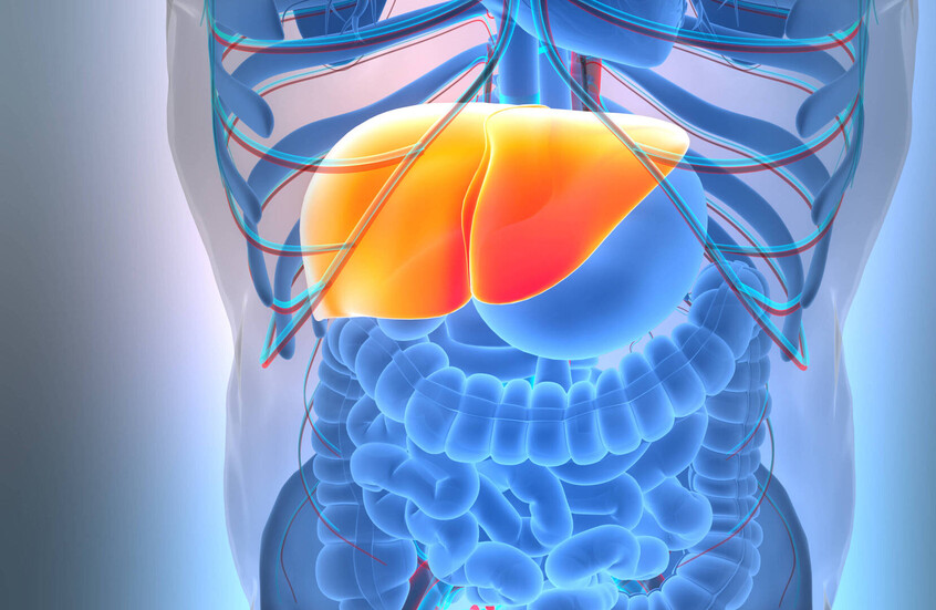 مشروب شائع يشكل درع وقاية من مرض الكبد الدهني مشروب شائع يشكل درع وقاية من مرض الكبد الدهني