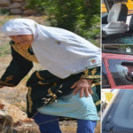 مستوطنون يهاجمون قاطفي الزيتون في قرى عدة جنوبي نابلس​ 